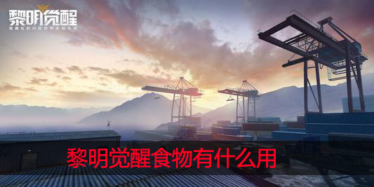 黎明觉醒食物有什么用