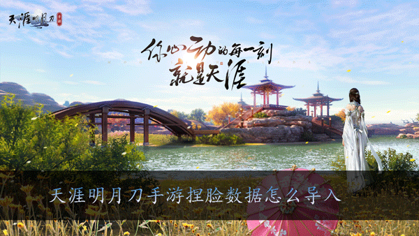 天涯明月刀手游捏脸数据怎么导入
