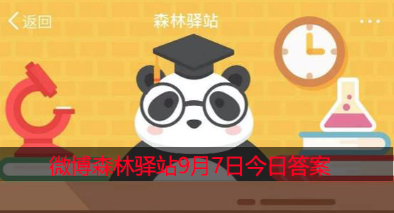 以下哪种动物不是反刍动物