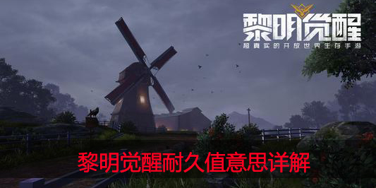 黎明觉醒耐久值是什么