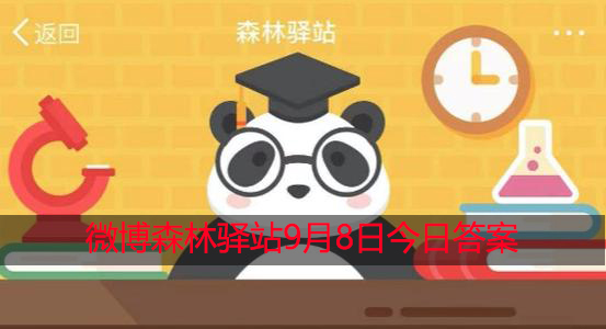 大熊猫小时候怎么称呼