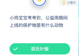 小鸡宝宝考考你,公益周期间上线的保护地里有什么动物