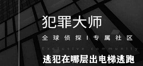 犯罪大师逃犯在哪层出电梯逃跑