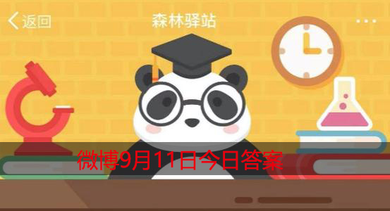 平常都说鸟巢,但哪一种鸟是不喜欢筑巢的