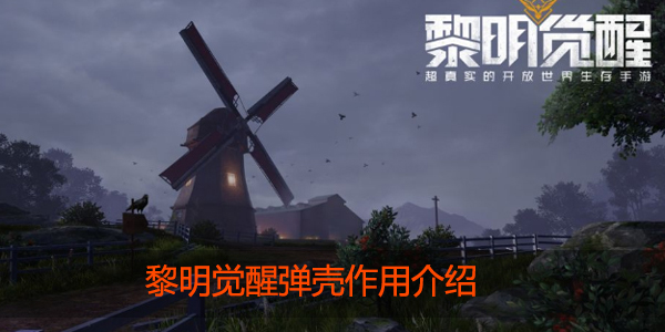 黎明觉醒弹壳有什么用