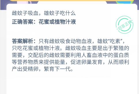 小鸡宝宝考考你,雌蚊子吸血,雄蚊子吃什么