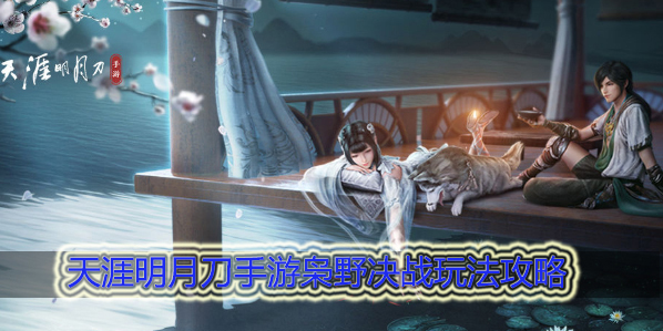 天涯明月刀枭野决战地图在哪