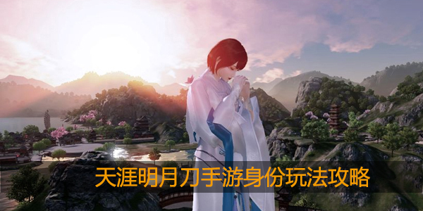 天涯明月刀手游身份玩法攻略大全