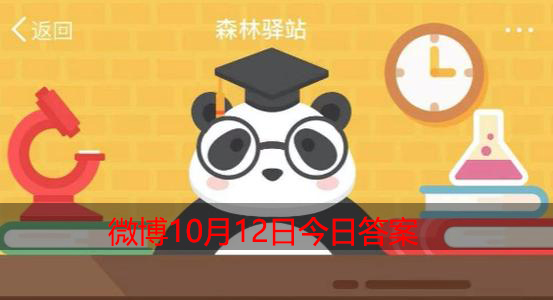 大象两只前脚掌的周长之和等于什么