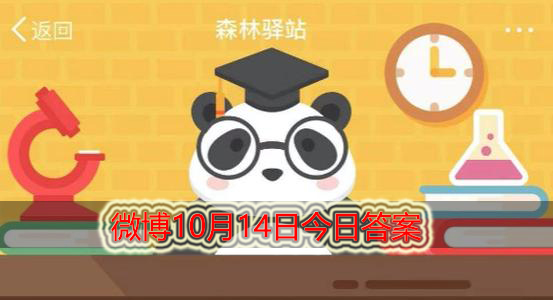 世界上现存的三种大象不包括以下哪种