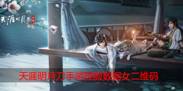 天涯明月刀手游捏脸数据女二维码
