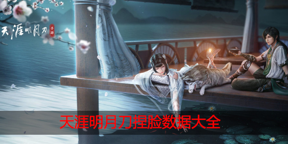 天涯明月刀捏脸数据大全