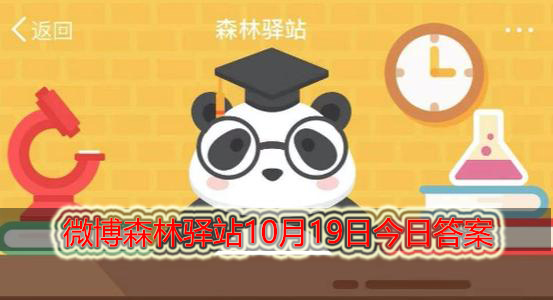 按我国法律,对象牙制品哪种行为是违法的