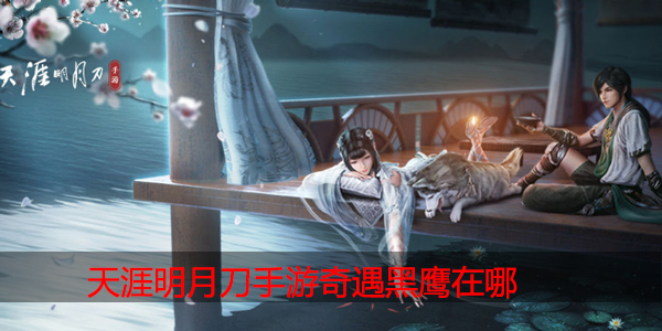 天涯明月刀手游奇遇黑鹰在哪