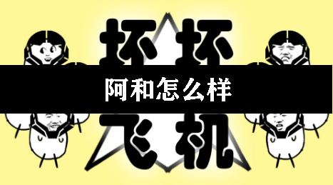 坏坏的飞机阿和怎么样