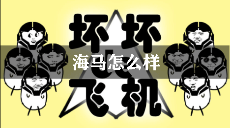 坏坏的飞机海马怎么样