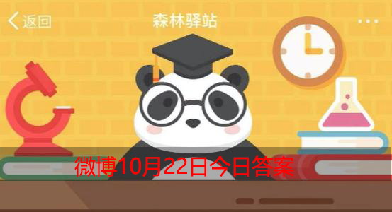 以下动物是一夫一妻制的是