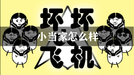 坏坏的飞机小当家怎么样