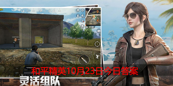 巅峰赛玩法中,每周战队的段位升降有几种状态呢