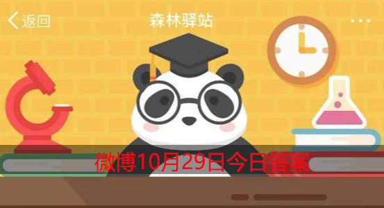 企鹅宝宝在爸爸的哪里取暖