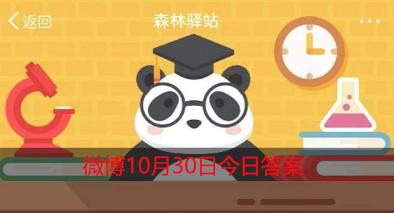 哪种动物的孕期最长