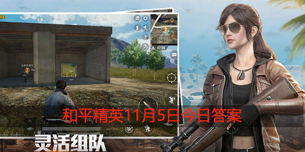 在游戏中的哪种投掷物的拉栓音效，与烟雾弹、震撼弹相同呢