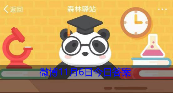 哪种动物闻到猫薄荷会兴奋