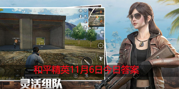 [人气皮肤返场活动投票]的开始时间是11月几日呢