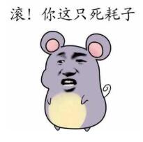 耗子尾汁表情包