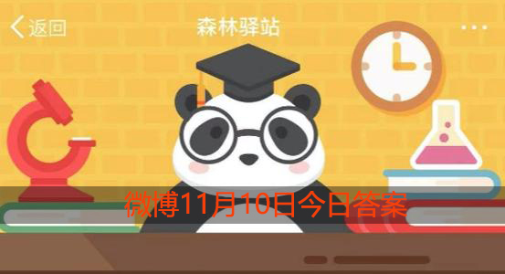 熊狸的气味闻起来像什么