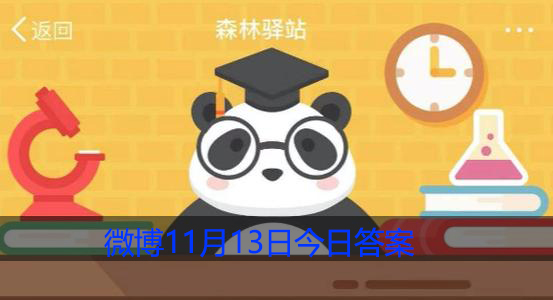 亚洲象鼻子尖端的鼻突作用是什么