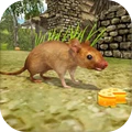 瘋狂老鼠王遊戲下載-瘋狂老鼠王下載v1.0安卓版