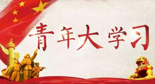 青年大学习打不开怎么办