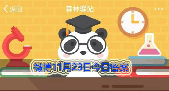 白兔的眼睛为什么是红的