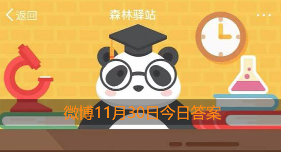 大熊猫属于什么目的动物