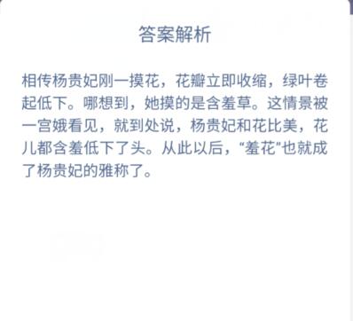 古代四大美女中有“羞花