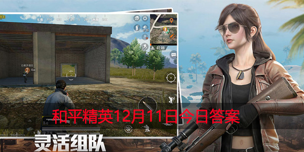 最新主题套装的名称是什么