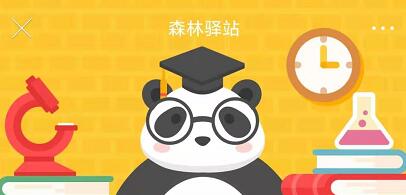 野外长臂猿面临的最大威胁是
