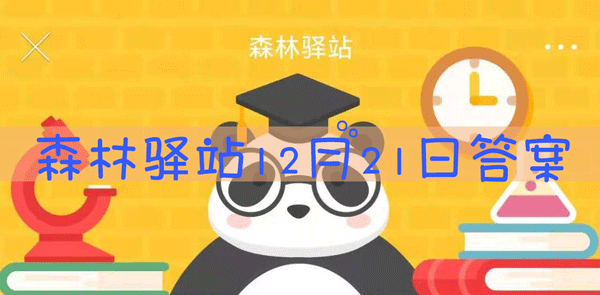 以下不属于夜行性动物的是