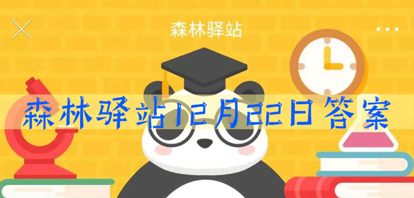 以下不属于洞巢鸟的是