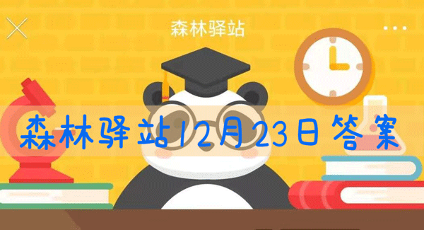 下列哪种乌鸦的腹部是白色的