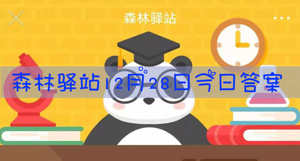 蝙蝠宝宝生下来就会倒挂吗