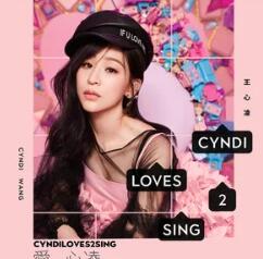 抖音傻傻的骗子和骗人的傻子才可能什么歌