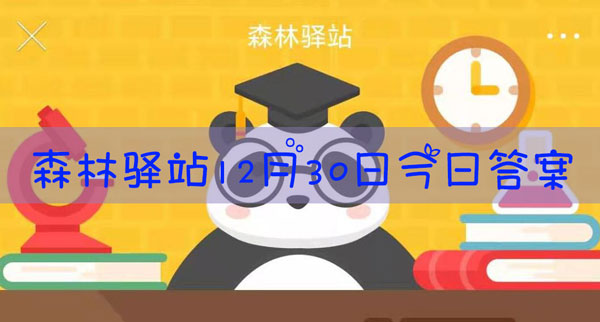 全世界6000多种哺乳动物中有多少种是蝙蝠