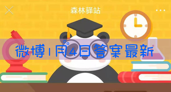 以下哪种动物的前爪很灵活,常用前爪把食物放在水中洗濯