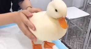 抖音抓鸭子什么梗
