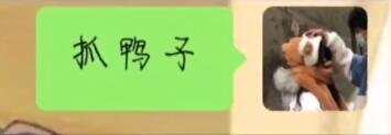 抖音抓鸭子游戏怎么玩