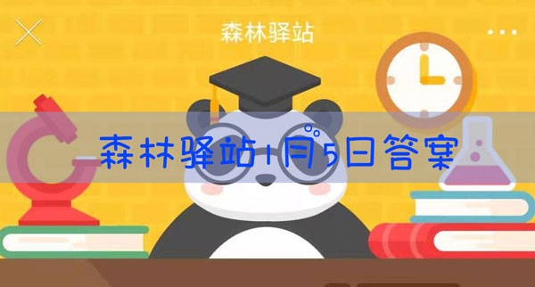 浣熊喜欢用双手感应物体,你知道是什么有效增强了手部感应能力吗