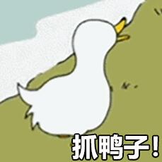抖音抓鸭子表情包