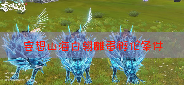 妄想山海白翎雕的蛋怎么孵化